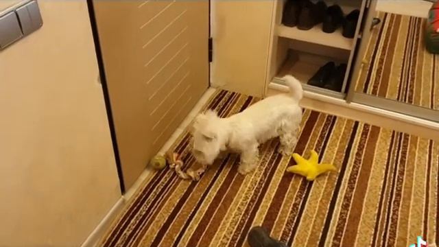 Как выглядит народное выражение "Порвать как тряпку") смотреть онлайн