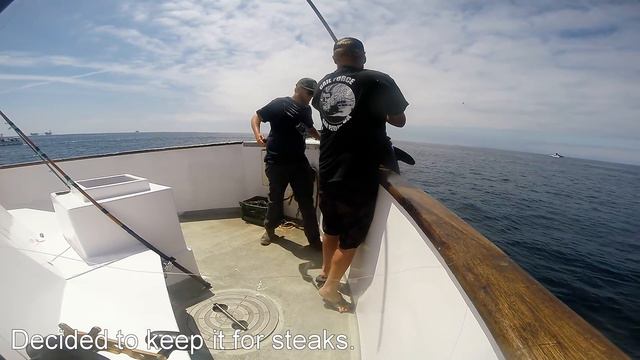 50+ Pound Mako Shark - Gail Force Sportfishing: June 1, 2015. смотреть онлайн