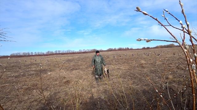 Охота на гуся в Архангельске смотреть онлайн