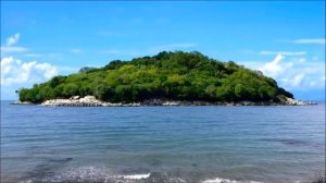 Христианские песни | Изобильная виноградная лоза