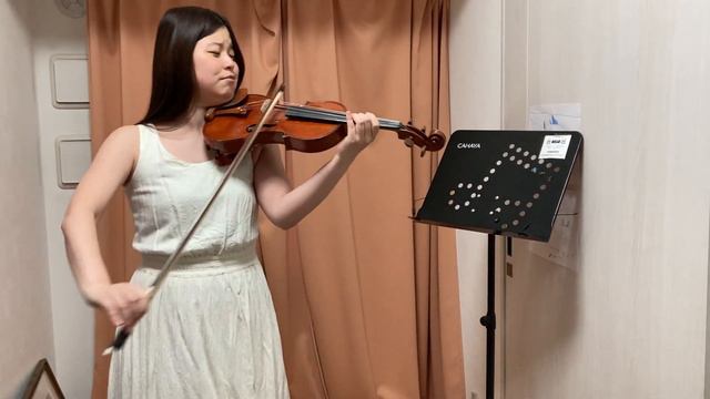 【ヴァイオリン弾いてみた】『ピーターと狼』で、少年ピーターは狼を捕まえられるのか？！ смотреть онлайн