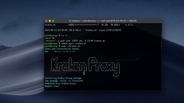 Установка прокси сервера kraken proxy на ubuntu server 18.04