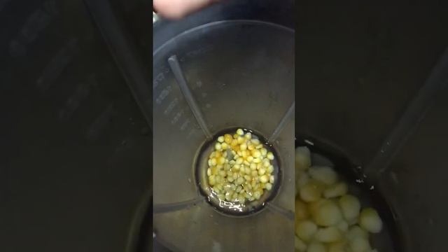 Chicken Corn Souprecipe || Part # 1 || Sameena's Kitchen#soup#soapcarving Soupcubes #cornsoup