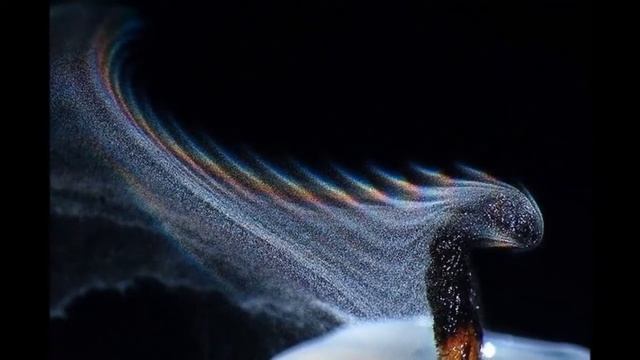 Притча о Десяти девах Библейская история для детей текст без изменений смотреть онлайн