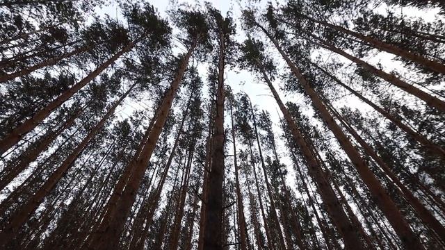 Дом в п. Удачный, Красноярск, Продам