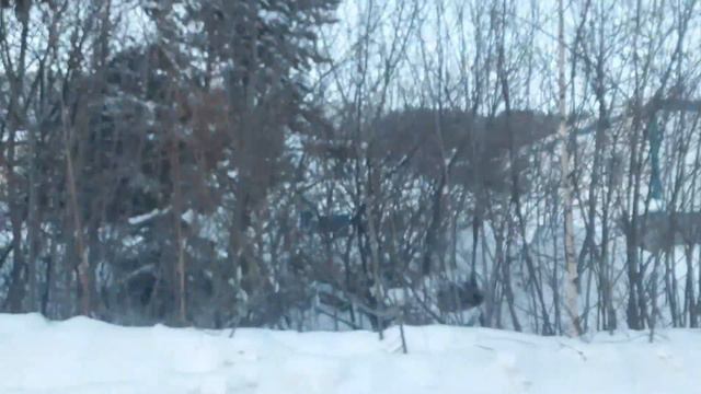 НА ГОРНОЛЫЖКЕ/Башкирия/Белорецк/Январь2024 смотреть онлайн
