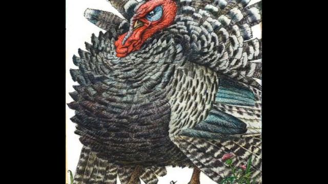 Стихотворение К. И. Чуковского " Бибигон и Брундуляк" смотреть онлайн