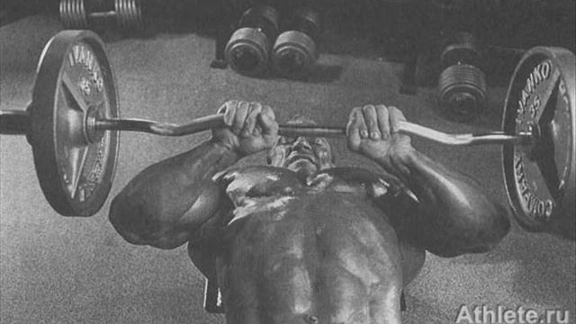 кам new crusade смотреть онлайн