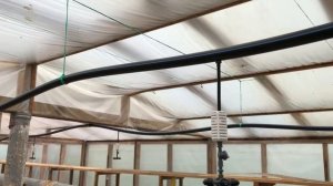 Как сделать ТУМАН В ТЕПЛИЦЕ и зачем он нужен? Высокая ВЛАЖНОСТЬ даже ЛЕТОМ!