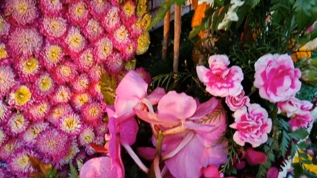 Фестиваль цветов в Таиланде, Чианг Май. Отзывы Ездили Знаем смотреть онлайн