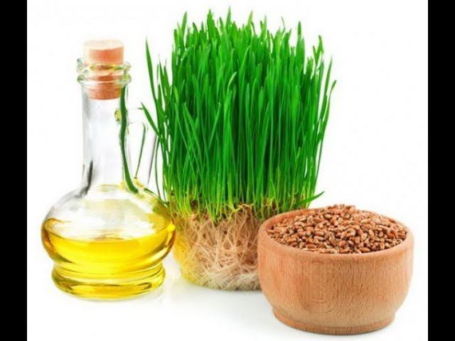 Масло зародышей пшеницы - настоящий кладезь полезных веществ!!! смотреть онлайн