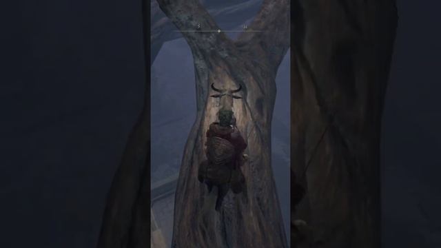 ПОСОХ УТРАТЫ (Staff of Loss) ELDEN RING Guide Элден ринг гайд где найти посох секреты Селлии топ ма смотреть онлайн