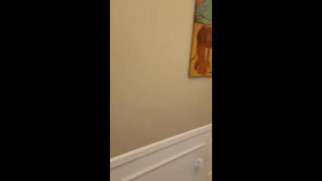 Updated & Beautiful Condo - 300 N Fulton St #33 смотреть онлайн