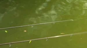 Ловля Карпа на Зиг-Риг. Технокарп. Охота за монстром. Часть 4.