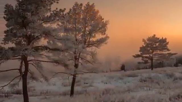 Крещенские морозы удались Автор Надежда Кутуева, читает Елена Сугробова, видео Светланы Полыгалово смотреть онлайн