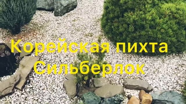 13 ноября 2022 г. смотреть онлайн