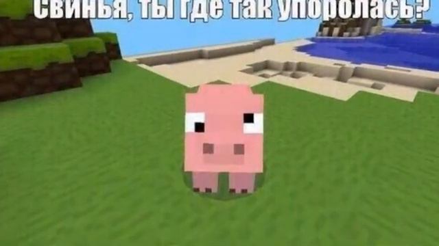 норм видос слайд шоу смотреть онлайн