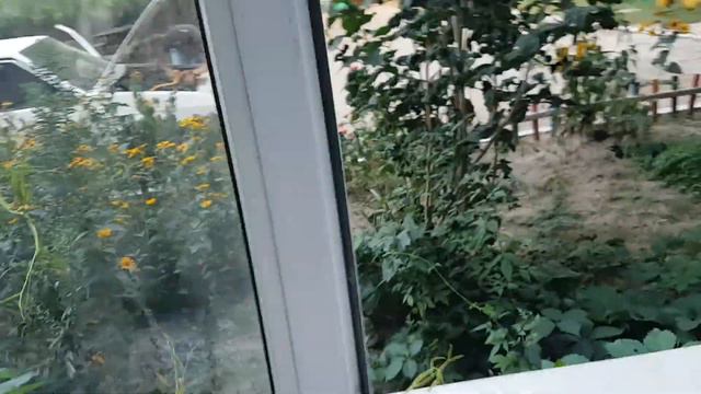Бомж, Алкаш Андрей Стрелович / Больной Дебил смотреть онлайн