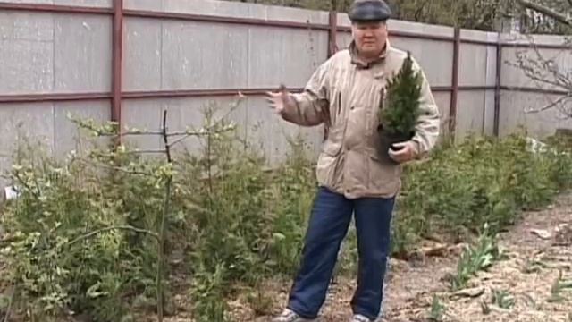 Валерий Панов: Чем поливать растения после посадки?