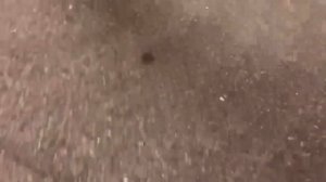 Kia Stinger - о плюсах и минусах | почему не в ТОПе?