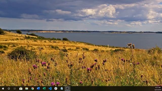 CSNP Exercise: From Real Life to Computer Code (Variables) - Week 3 смотреть онлайн