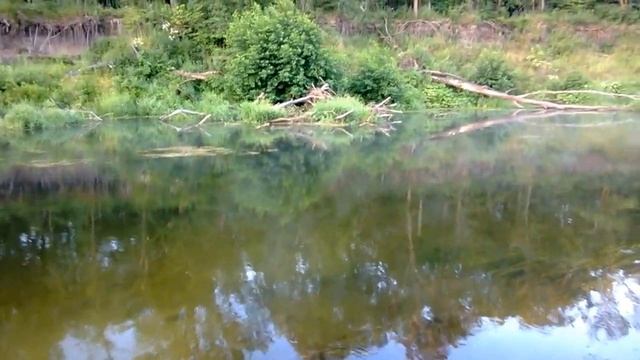 Лето на отдыхе на реке "Медведица" смотреть онлайн