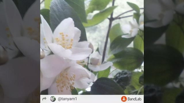 ТЕПЛО ДУШИ Таня Музыка Остапович смотреть онлайн