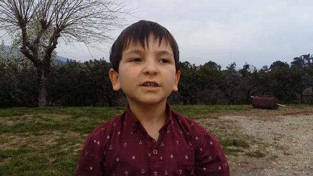 Флешмоб в поддержку абхазского языка. 07.04.2017. Нестор Цкуа смотреть онлайн