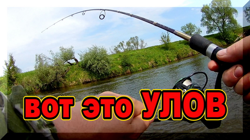Ловушка для Спиннингистов. Вот и пришел Голавль. Первая удачная рыбалка на голавля. смотреть онлайн