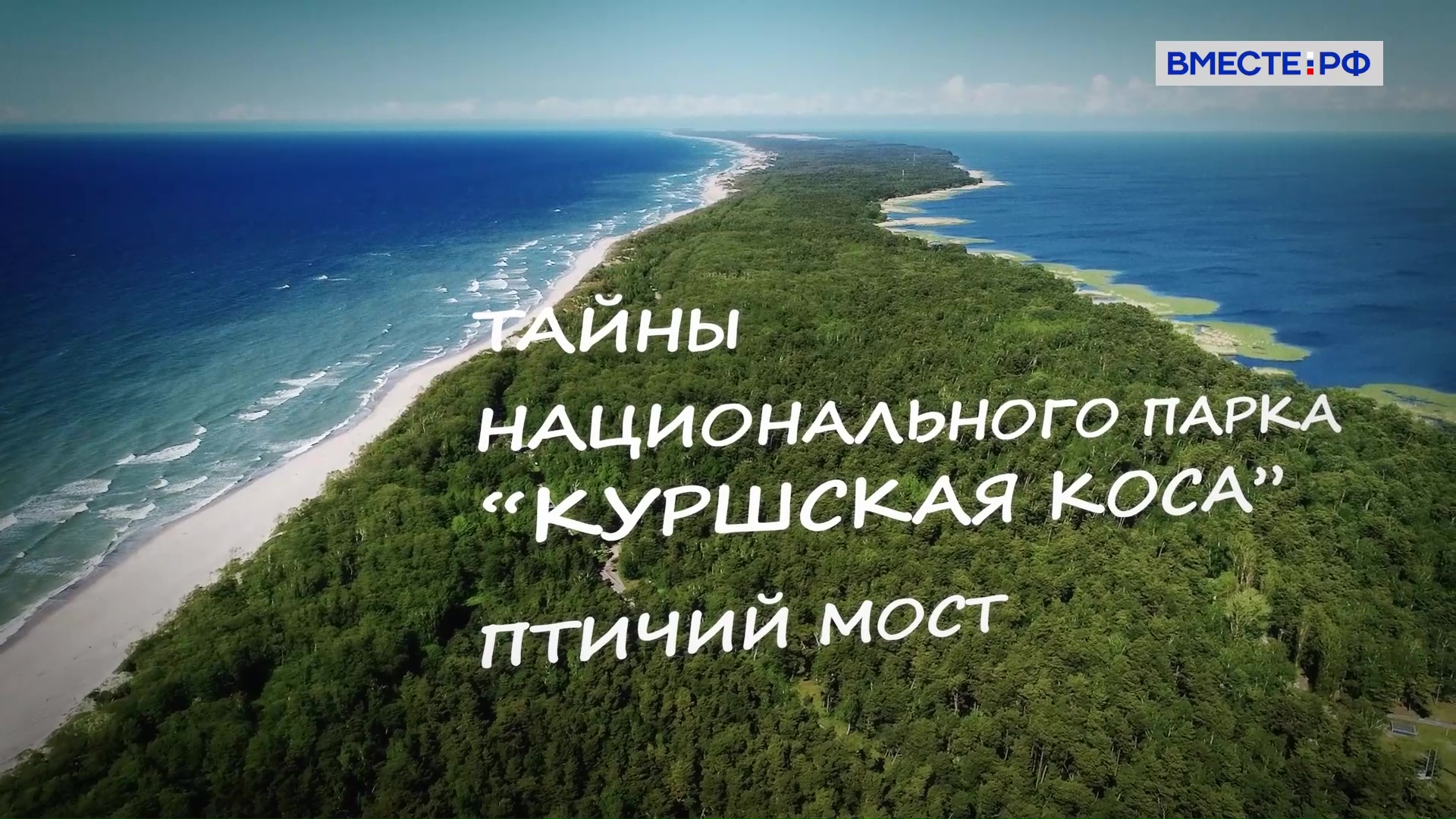 Тайны национального парка «Куршская коса». Птичий мост смотреть онлайн