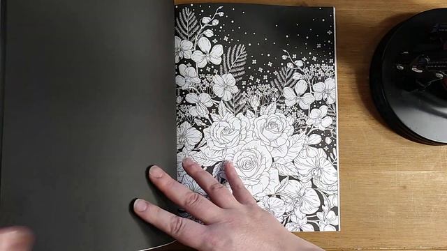 Midnight Garden Coloring Book flip through - Coco Wyo Publishing смотреть онлайн