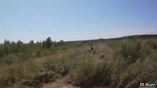 Персидский залив. Кровь земли.avi смотреть онлайн