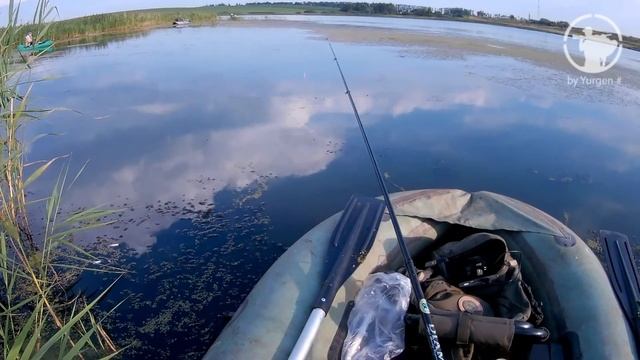 Ловля карася на подмосковном водоеме. Окончание Августа 2017. смотреть онлайн