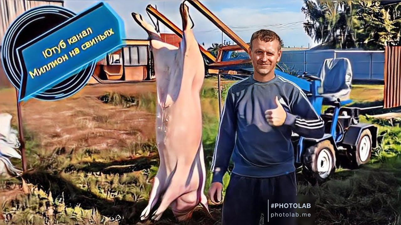 Вес поросёнка в 7 месяцев смотреть онлайн