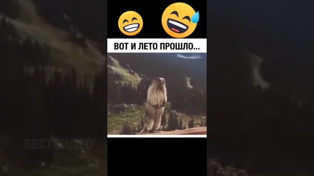 Вот и лето прошло) смотреть онлайн