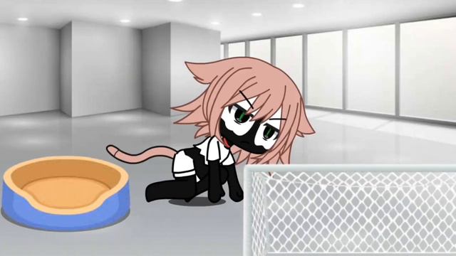 ∆//животное//∆ [гача лайф] смотреть онлайн