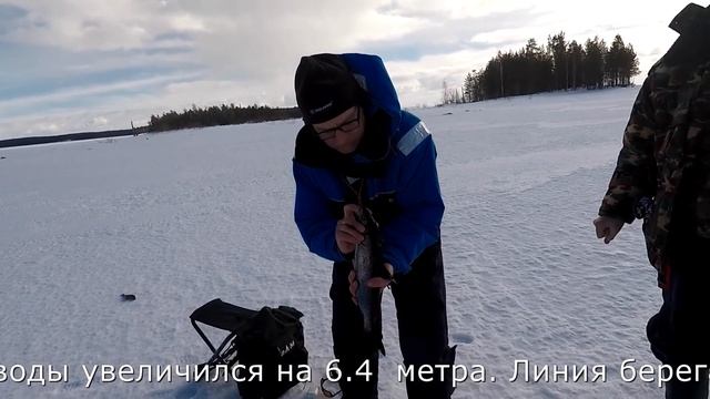 #Сегозеро#Лесные озёра Весеняя рыбалка на жерлицы, поиск хариуса и сига. смотреть онлайн