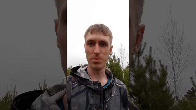 Новый сезон. Сосновые почки смотреть онлайн