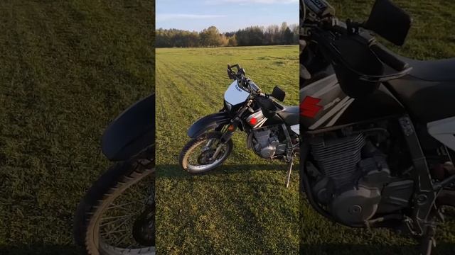 #suzuki #suzukidr #suzukidr650 #suzukidr650se #motard #enduro #cross #moto #мотоцикл #мото #ендуро смотреть онлайн