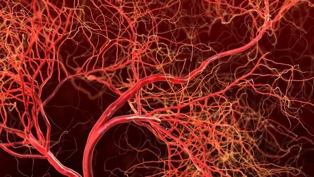 Секреты Профессионального Развития