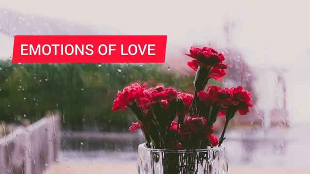 Emotions of love_Romantic music смотреть онлайн