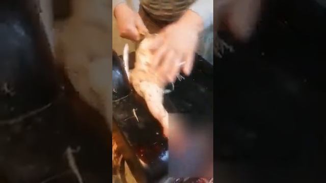 СПВ "Линда" ощип УТКИ видео отзыв смотреть онлайн