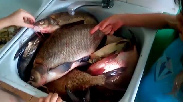 РЫБАЛКА НА КОЛЬЦО ЛЕЩ 2018 8 ИЮЛЯ 2 смотреть онлайн