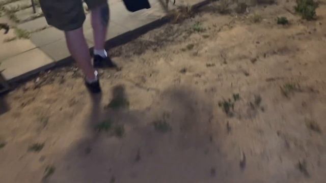 Venomous Snakes in Suburbia! смотреть онлайн