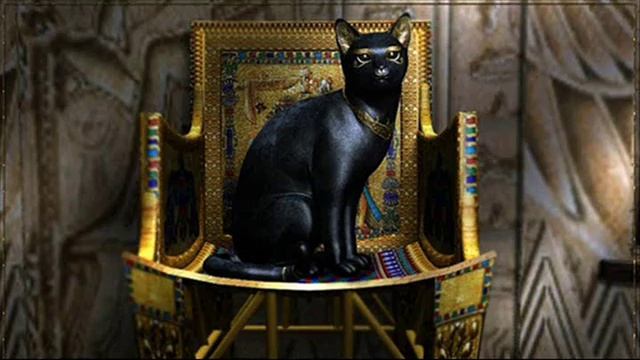 1 марта - день кошек в России смотреть онлайн