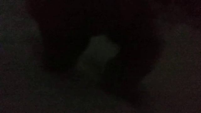 Мотодог 15 сил по пухляку смотреть онлайн