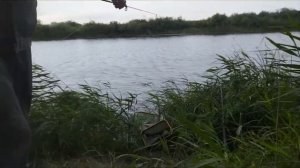 РЫБАЛКА ДЛЯ ДУШИ
СЕДЬМАЯ СЕРИЯ