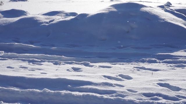 1 video sketches/Winter sun _ Зимнее солнце смотреть онлайн