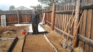 Лук "Эксибишен" посадка семенами в открытый грунт.