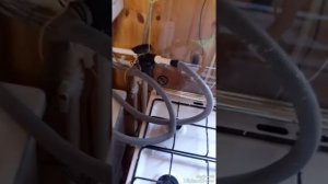 Чистка теплообменника Rinnai rmf207